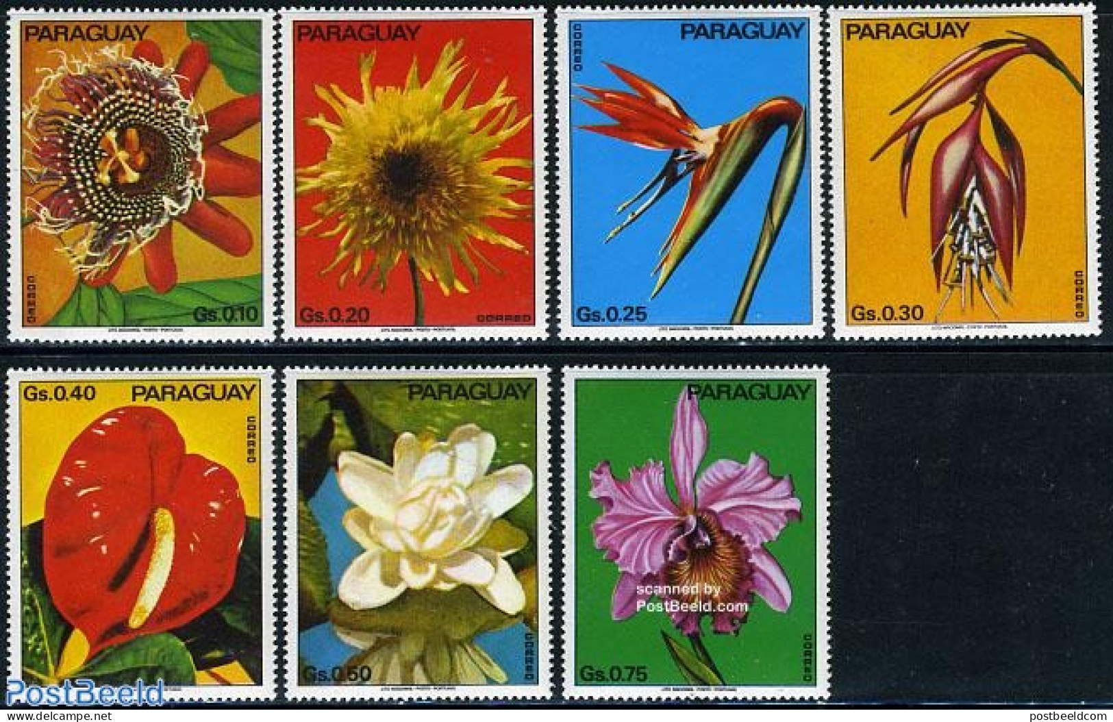 Paraguay 1973 Flowers 7v, Mint NH, Nature - Flowers & Plants - Paraguay
