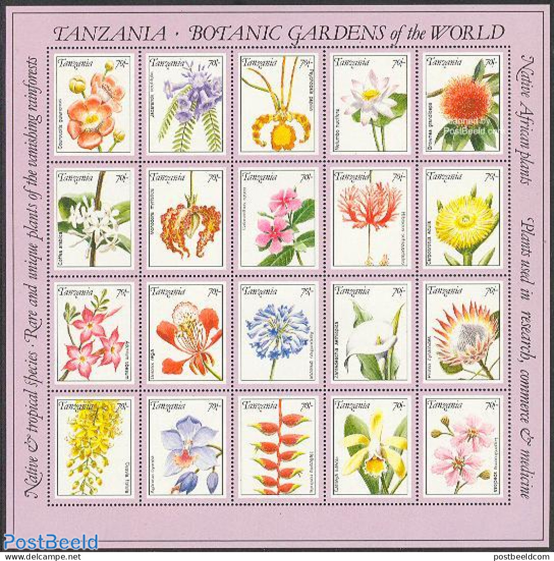 Tanzania 1992 Botanic Garden Rio De Janeiro 20v M/s, Mint NH, Nature - Flowers & Plants - Orchids - Tanzania (1964-...)