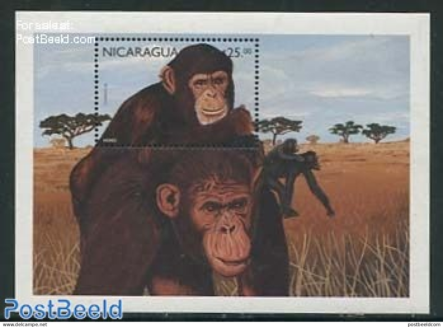 Nicaragua 1999 Chimpansee S/s, Mint NH, Nature - Animals (others & Mixed) - Monkeys - Nicaragua