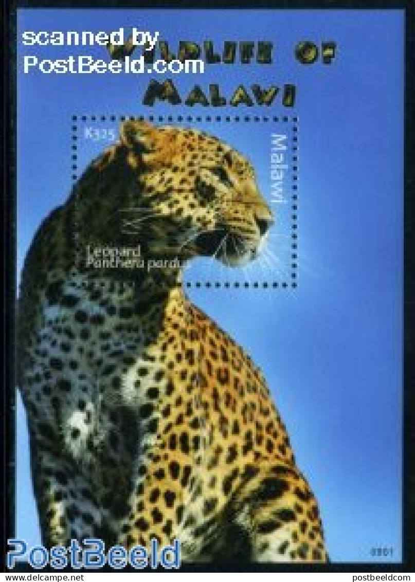 Malawi 2009 Wildlife Of Malawi S/s, Mint NH, Nature - Animals (others & Mixed) - Cat Family - Malawi (1964-...)
