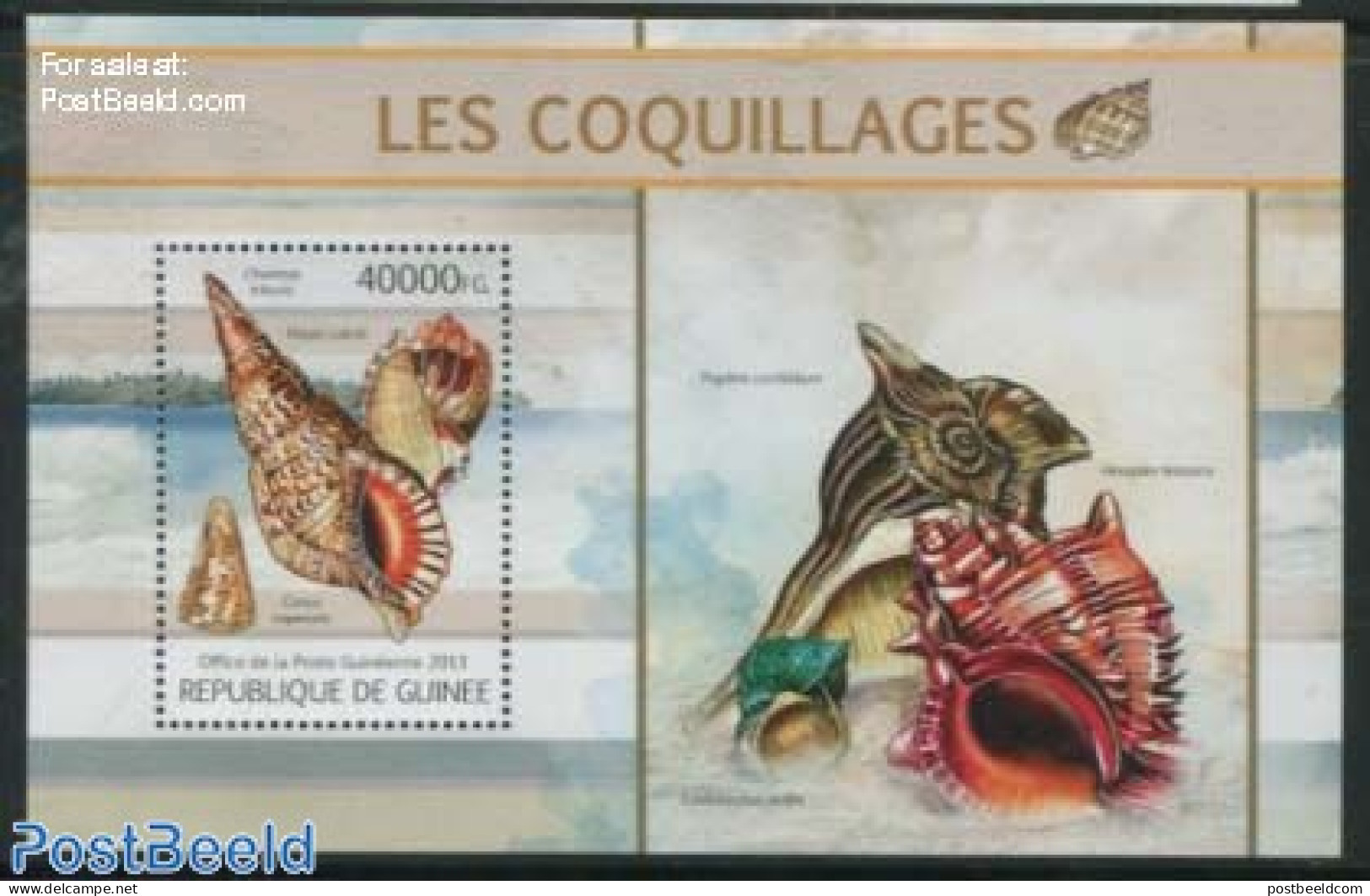 Guinea, Republic 2013 Shells S/s, Mint NH, Nature - Shells & Crustaceans - Marine Life