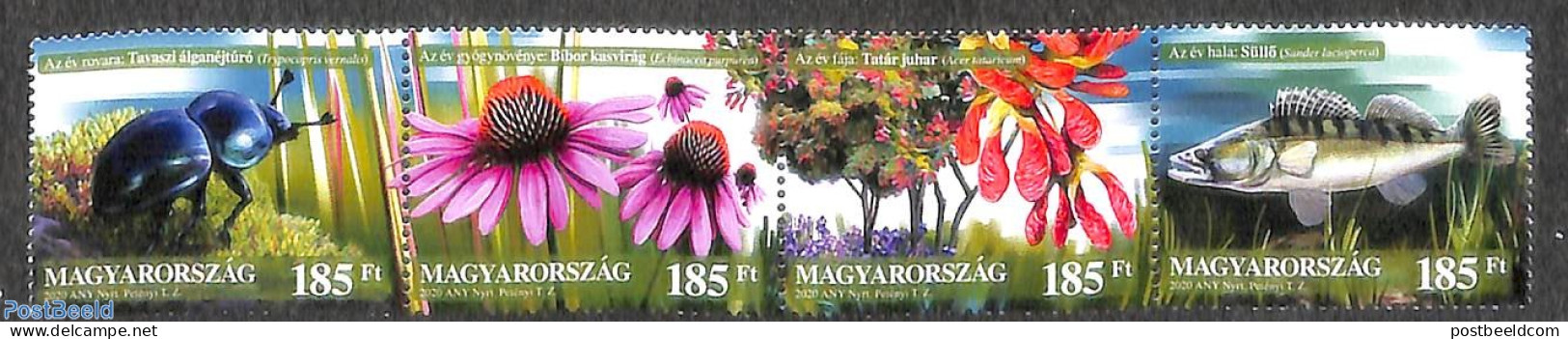 Hungary 2020 Nature 4v [:::], Mint NH, Nature - Fish - Flowers & Plants - Insects - Trees & Forests - Ungebraucht