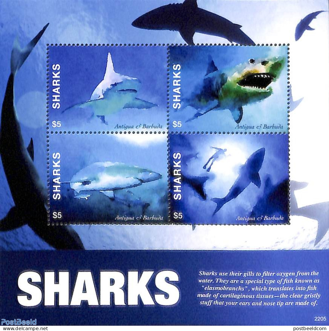 Antigua & Barbuda 2022 Sharks 4v M/s, Mint NH, Nature - Fish - Sharks - Fishes