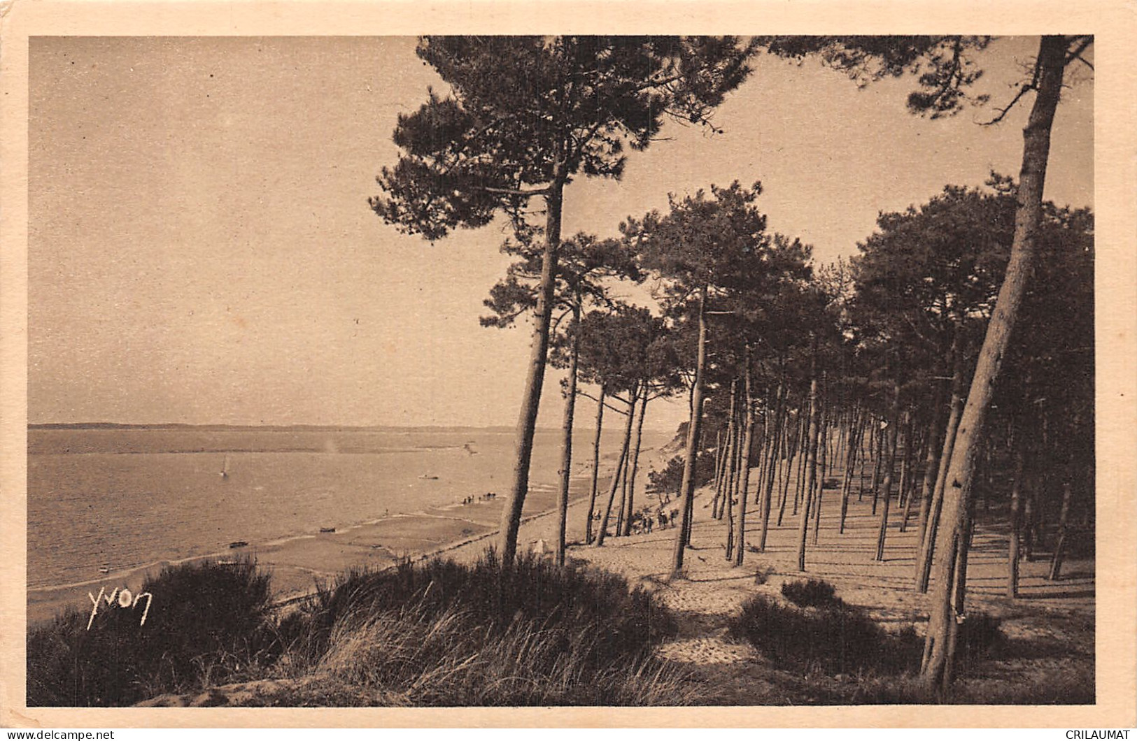 33-ARCACHON MOULLEAU-N°T2940-F/0331 - Arcachon