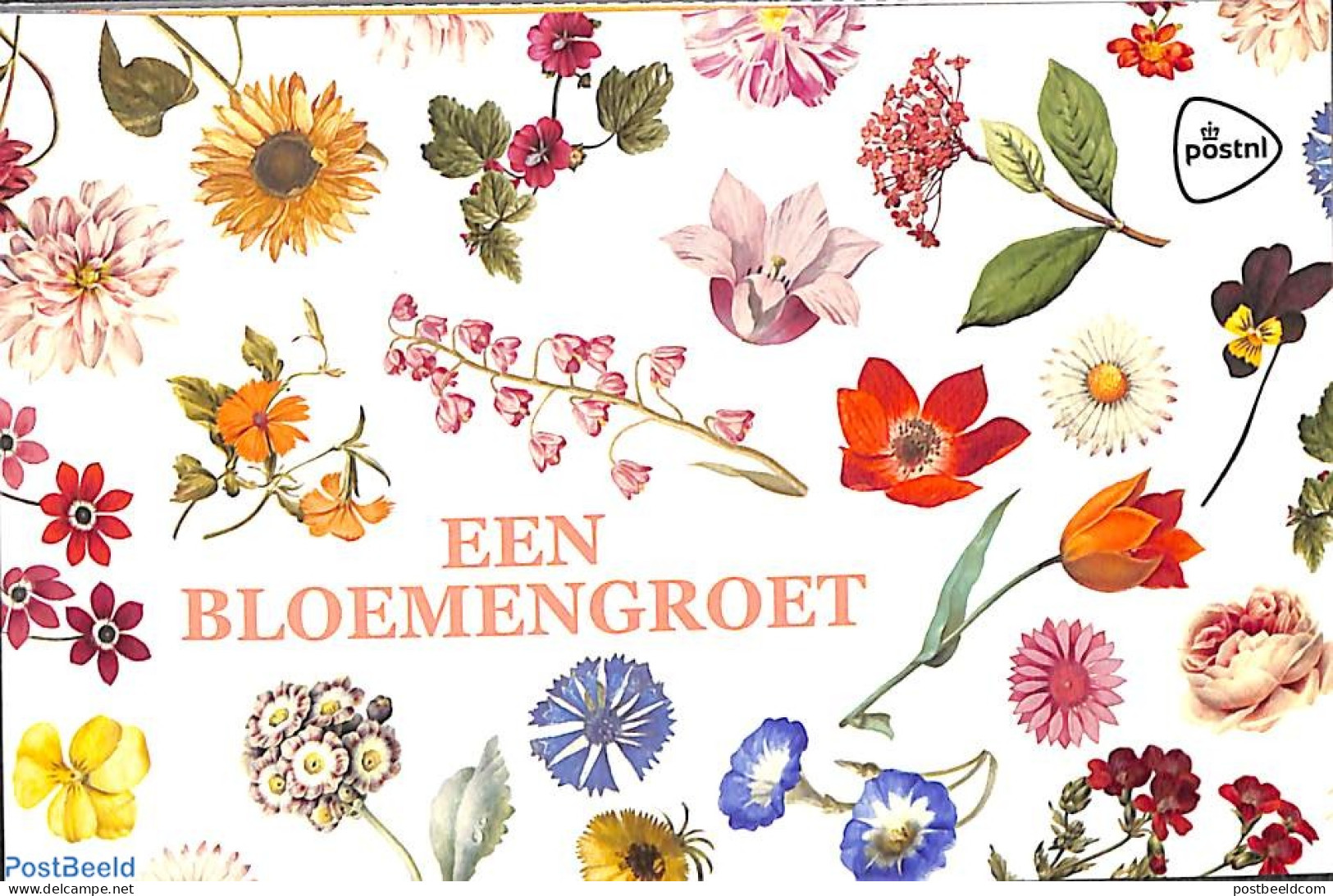 Netherlands - Personal Stamps TNT/PNL 2022 Flower Greetings Booklet, Mint NH, Nature - Flowers & Plants - Stamp Booklets - Non Classés