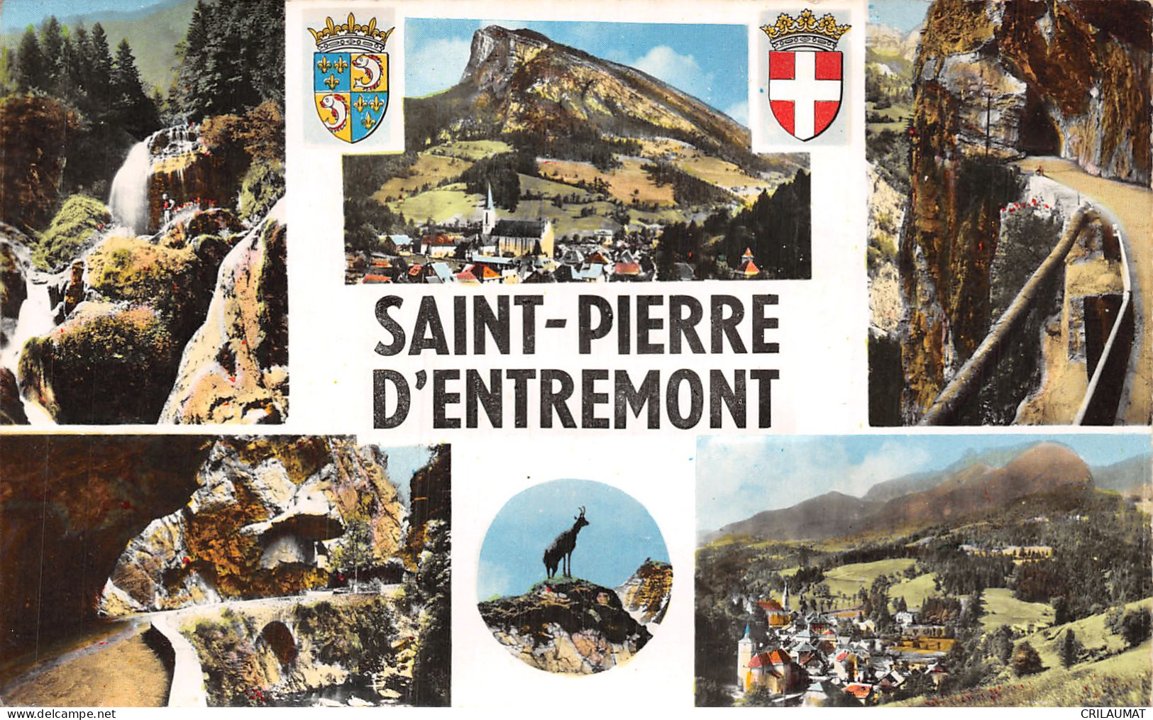 73-SAINT PIERRE D ENTREMONT-N°T2940-H/0279 - Saint-Pierre-d'Entremont