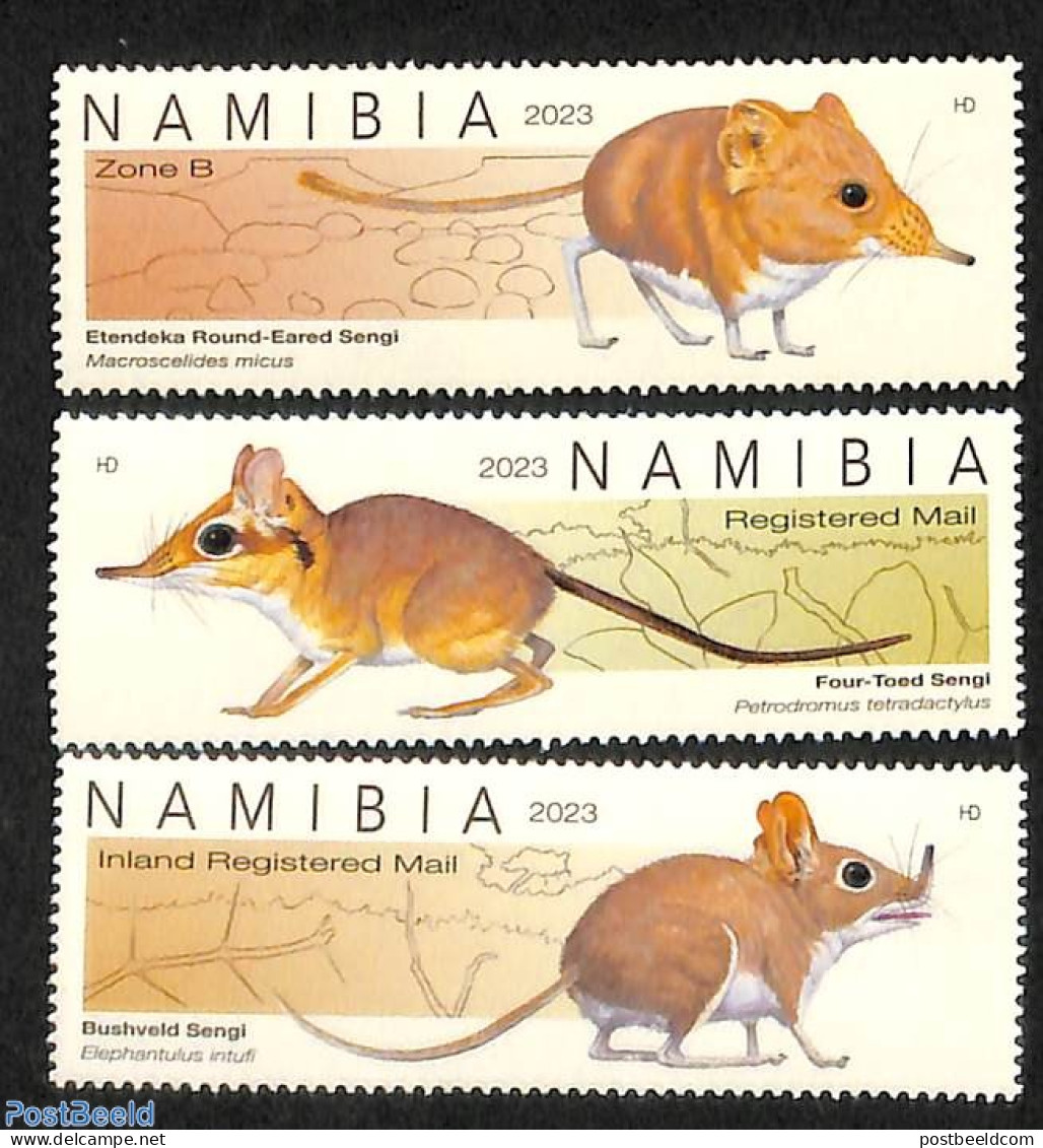 Namibia 2023 Sengi 3v, Mint NH, Nature - Animals (others & Mixed) - Namibia (1990- ...)