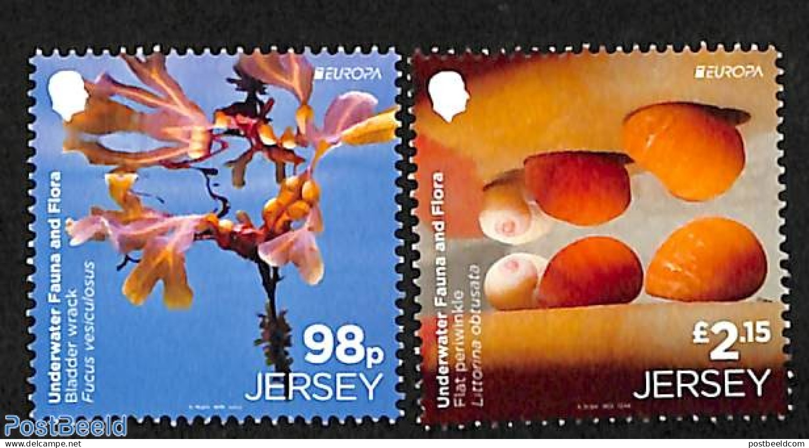 Jersey 2024 Europa, Underwater Life 2v, Mint NH, History - Nature - Europa (cept) - Flowers & Plants - Shells & Crusta.. - Vie Marine