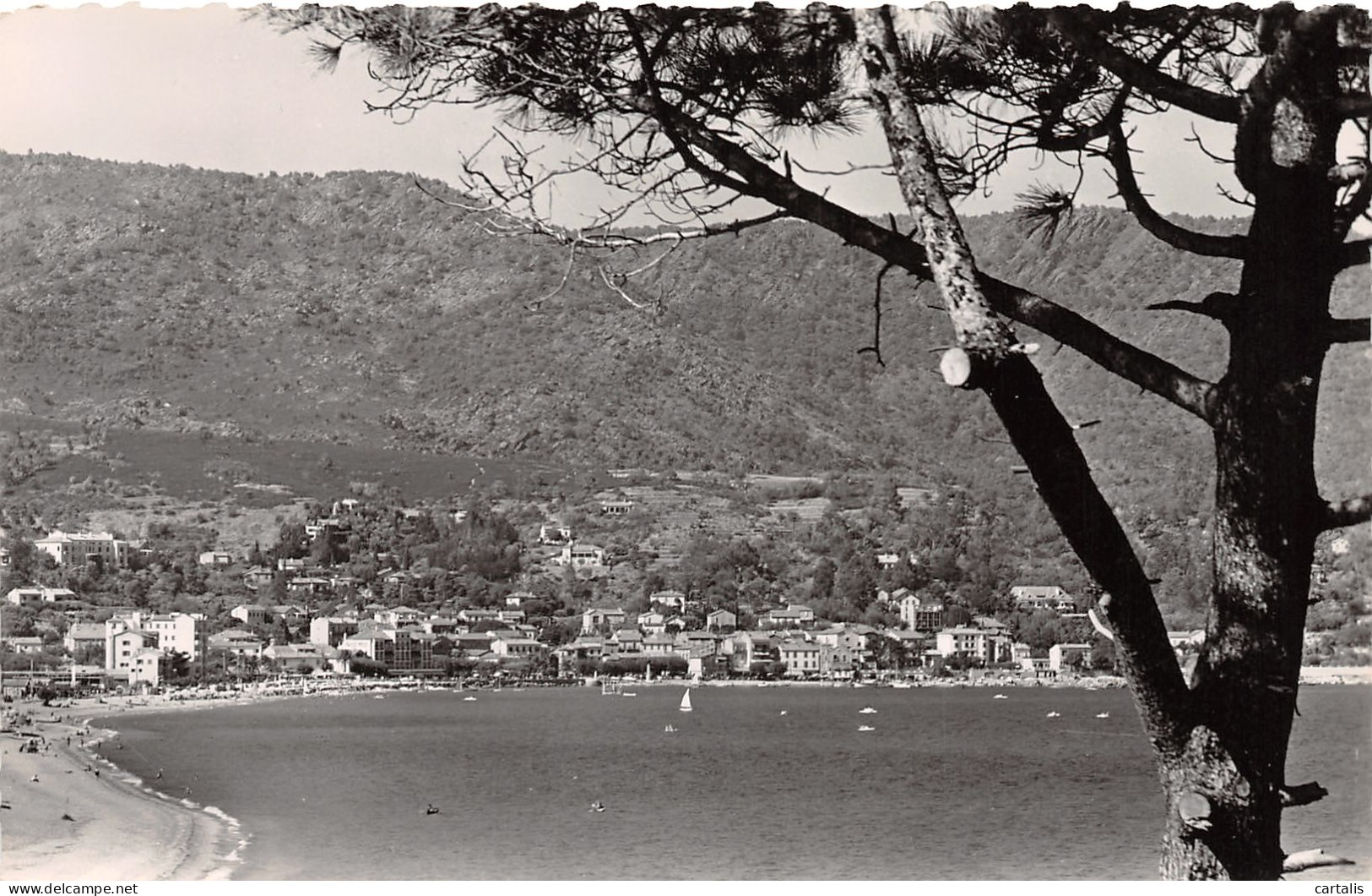 83-LE LAVANDOU-N°3882-F/0283 - Le Lavandou