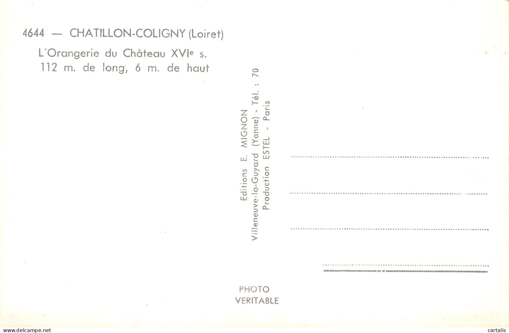 45-CHATILLON COLIGNY-N°3882-G/0173 - Chatillon Coligny