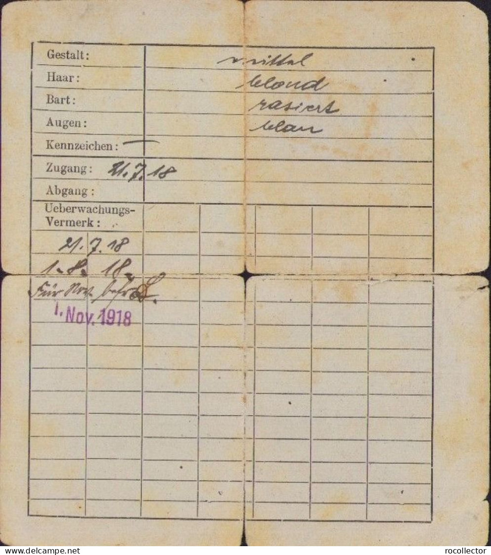 German Ocupation In Romania, Meldeamt, Personal Identity Card 1918 Pitești A2304 - Documentos Históricos