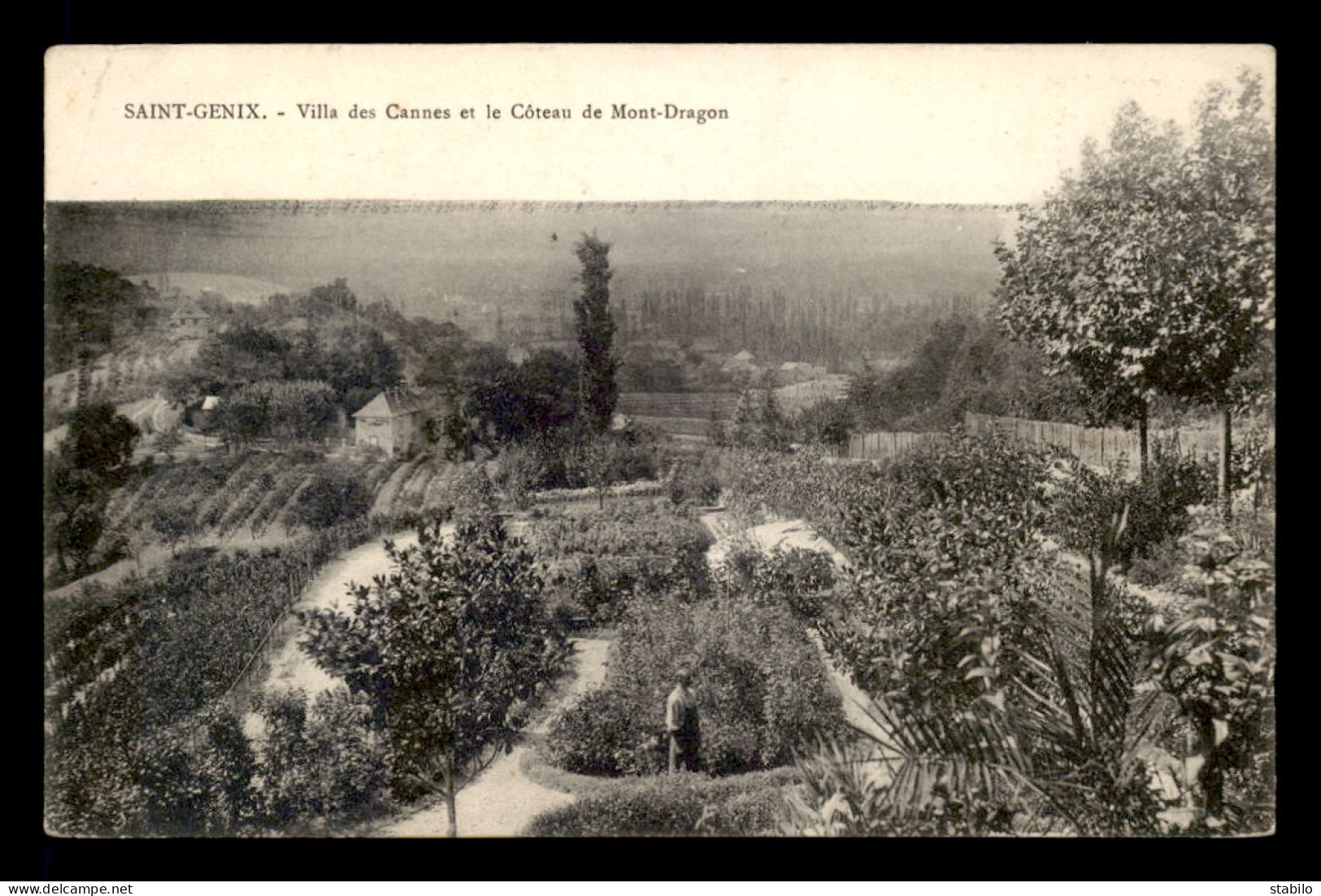 73 - ST-GENIX - VILLA DES CANNES ET LE COTEAU DE MONT-DRAGON - Sonstige & Ohne Zuordnung