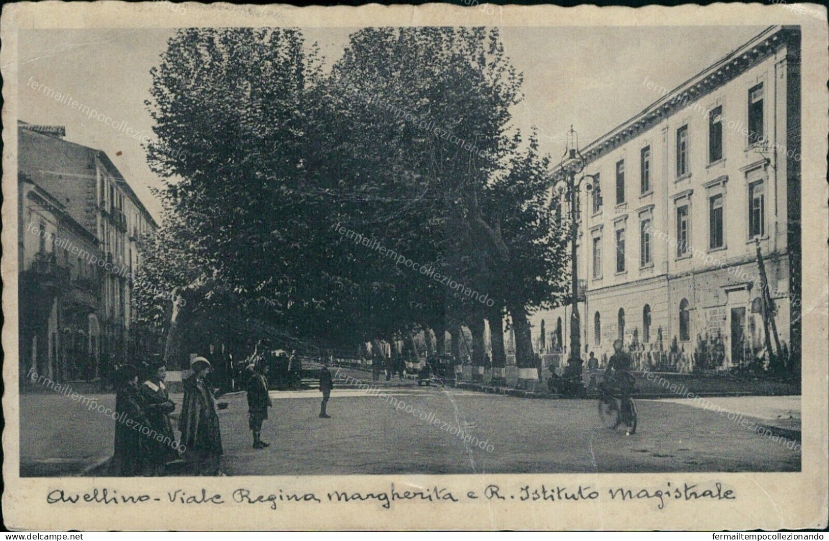Cp63 Cartolina Avellino  Viale Regina Margherita R.istituto Magistrale Pieghe - Avellino