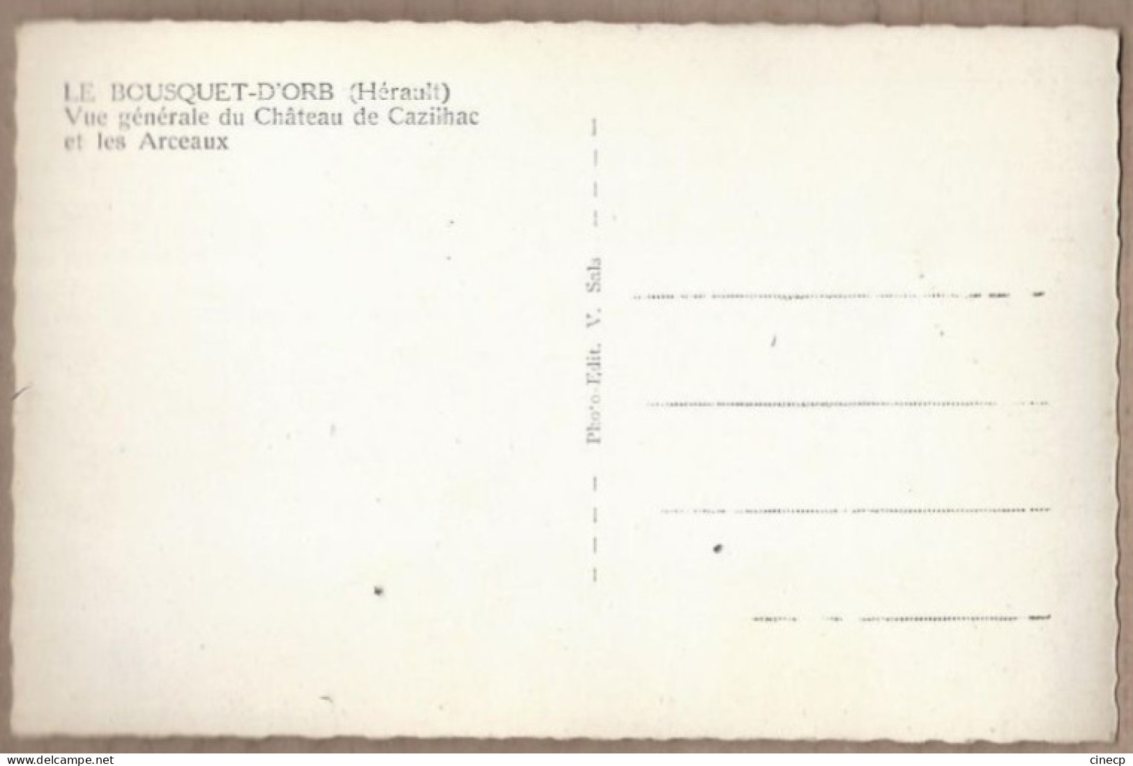 CPSM 34 - LE BOUSQUET D'ORB - Vue Générale Du Château De CAZILHAC Et Les Arceaux TB PLAN - Autres & Non Classés