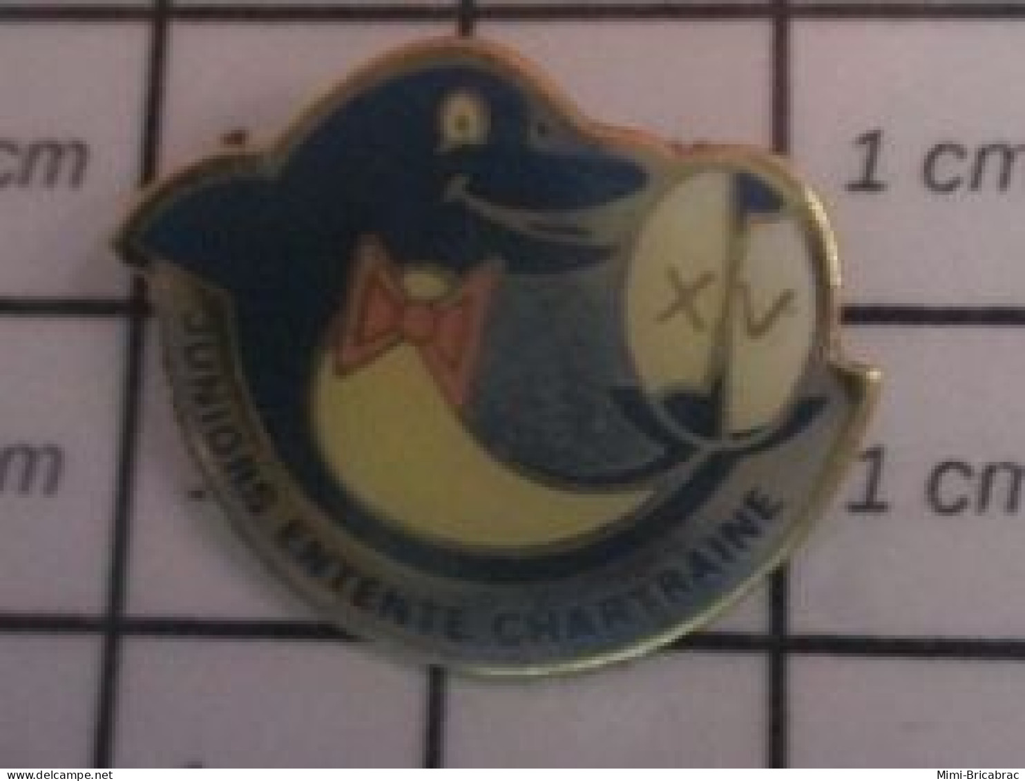 516c Pin's Pins / Beau Et Rare / THEME : SPORTS / DAUPHIN JUNIORS ENTENTE CHARTRAINE RUGBY - Rugby