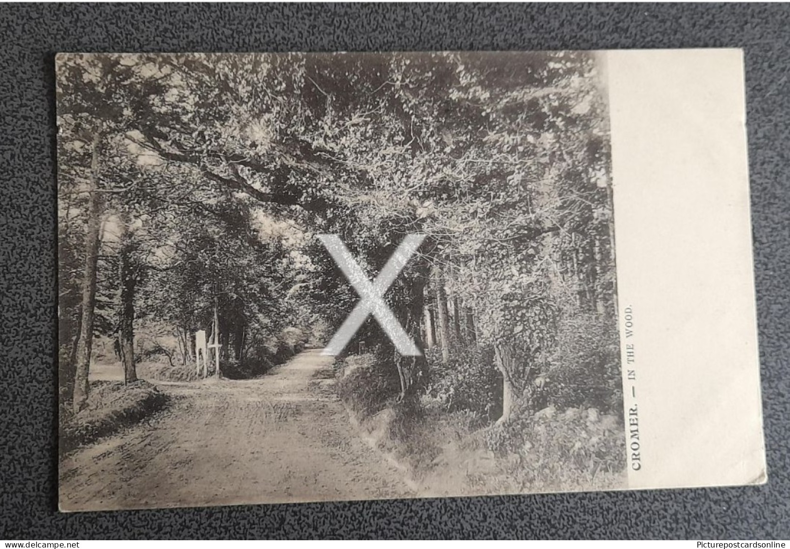 CROMER IN THE WOODS OLD B/W POSTCARD NORFOLK - Other & Unclassified