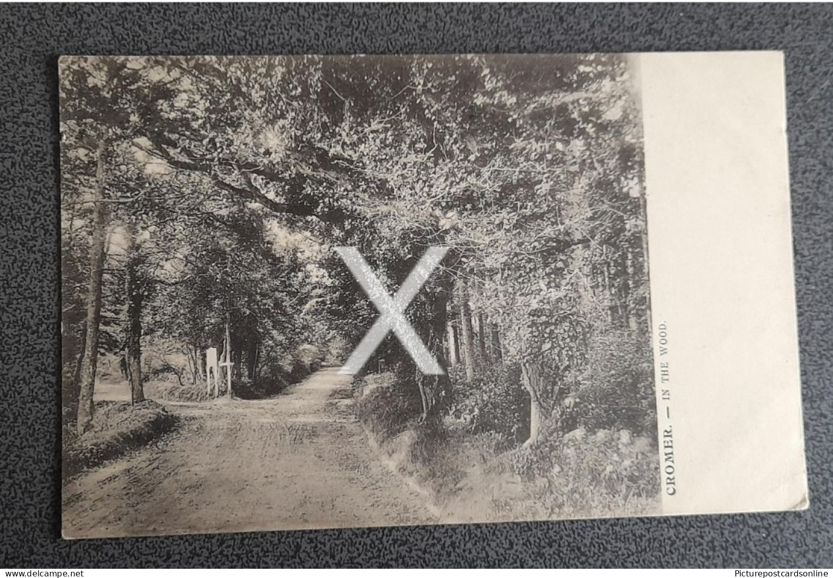 CROMER IN THE WOODS OLD B/W POSTCARD NORFOLK - Sonstige & Ohne Zuordnung