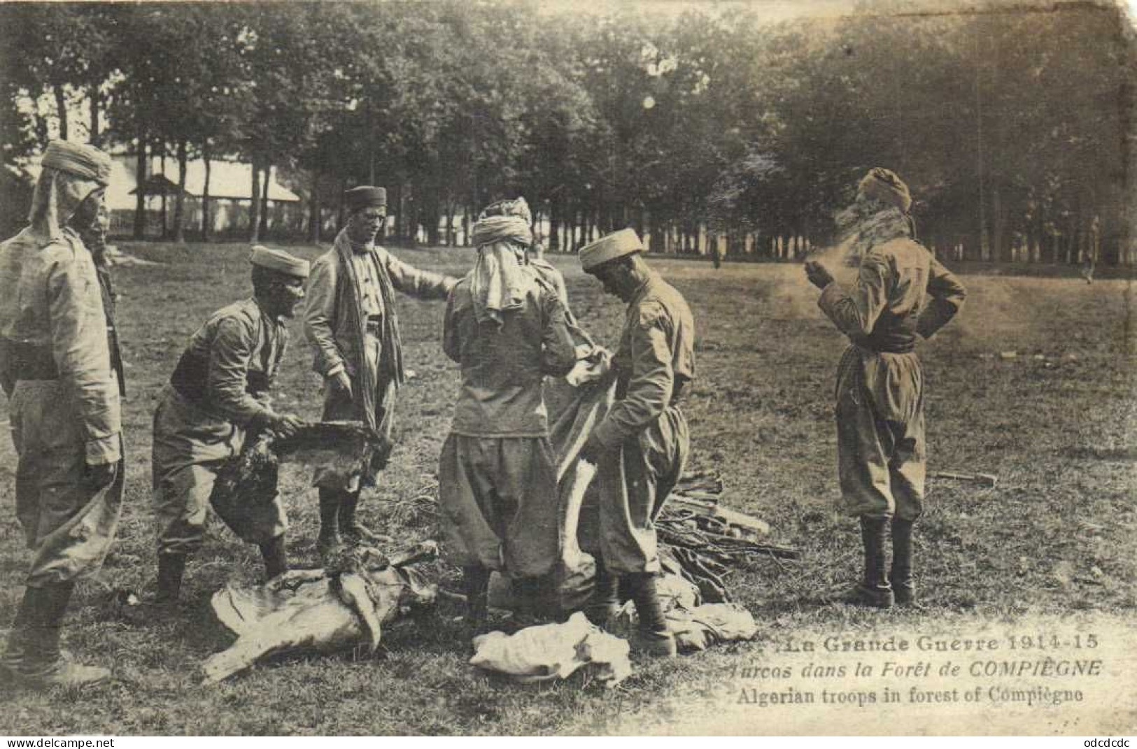 DESTOCKAGE Avant fermeture boutique T BON LOT 100 CPA  MILITARIA  (toutes scannées )