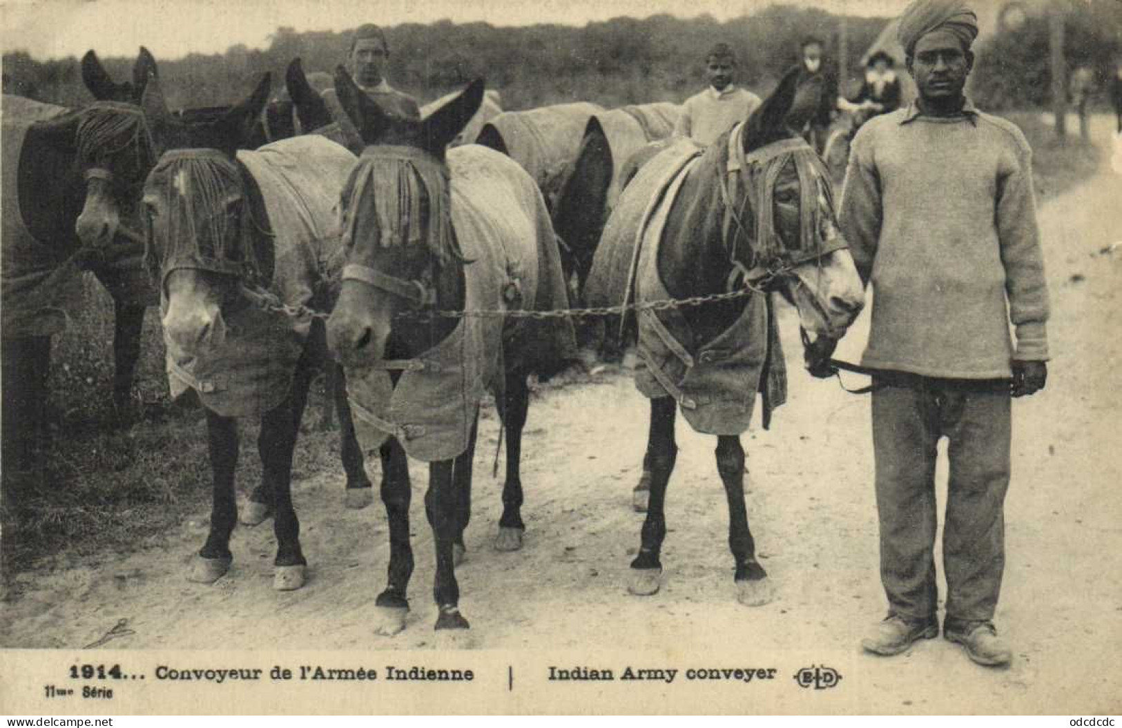 DESTOCKAGE Avant fermeture boutique T BON LOT 100 CPA  MILITARIA  (toutes scannées )