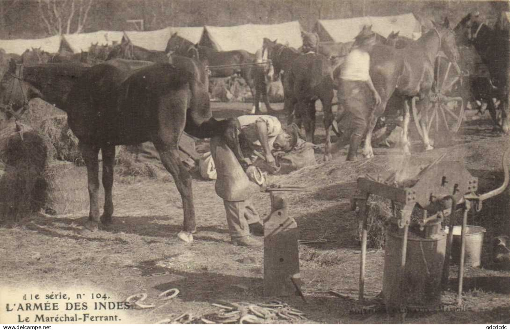 DESTOCKAGE Avant fermeture boutique T BON LOT 100 CPA  MILITARIA  (toutes scannées )