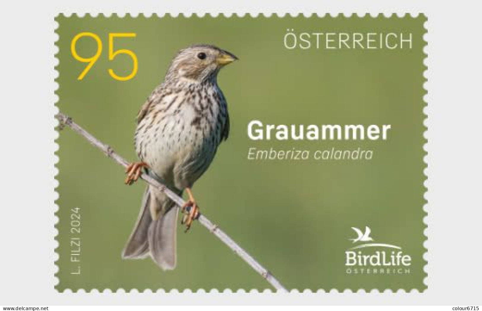 Austria 2024 BirdLife International - Corn Bunting Stamp 1v MNH - Nuovi