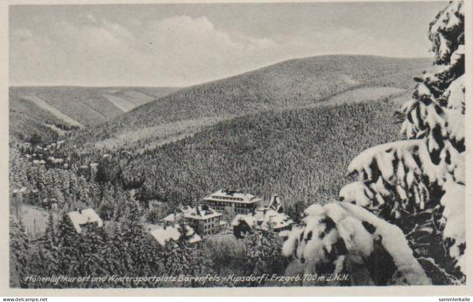 4790 - Altenberg - Bärenfels Kipsdorf - Erzgebirge - Ca. 1940 - Altenberg