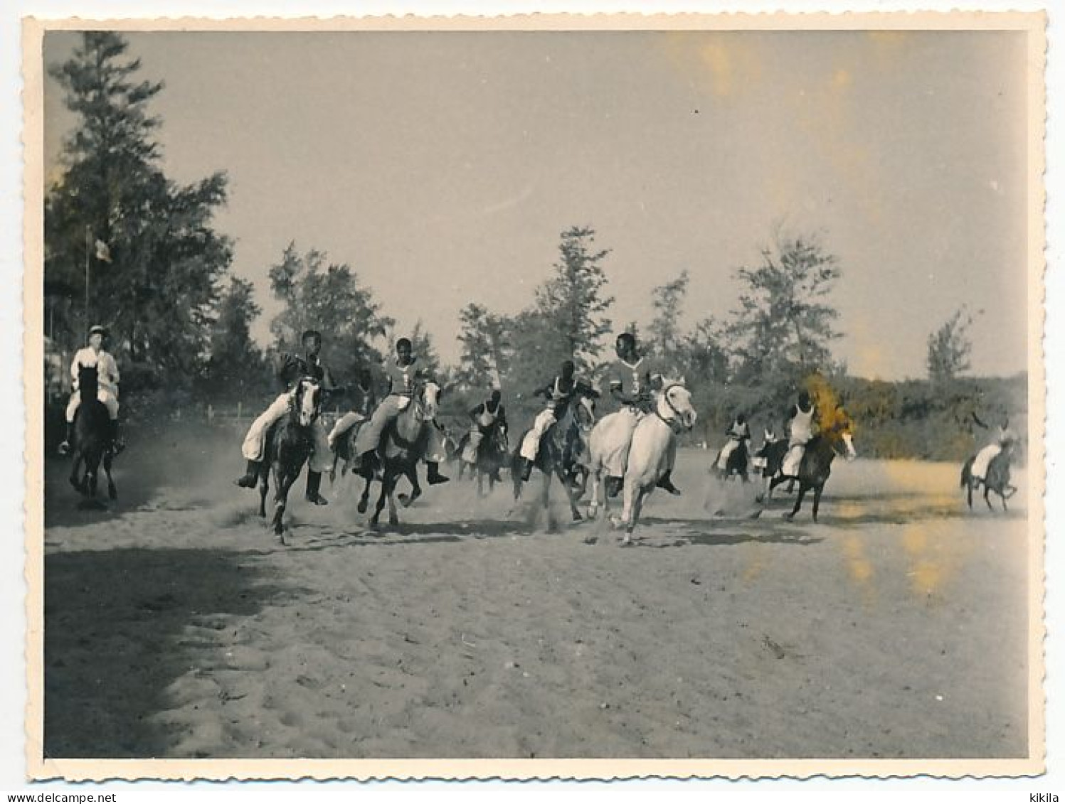 Photo Dentelée 11.6 X 8.7  Gendarme Français à Cheval - Entrainement Des Gendarmes Africains - Unclassified