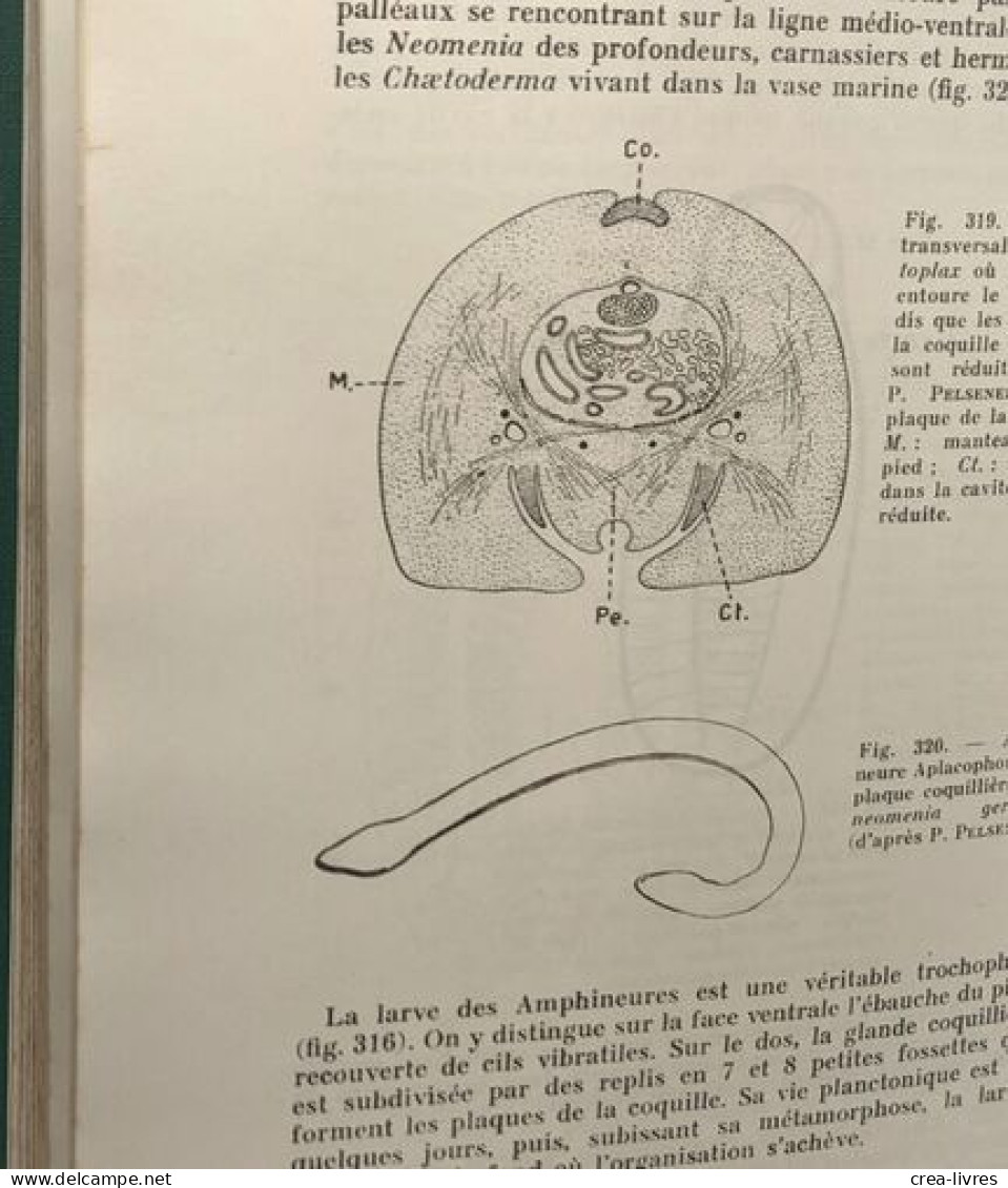 Les coelomates hyponeuriens - Éléments de zoologie et notions d'anatomie comparée vol. II