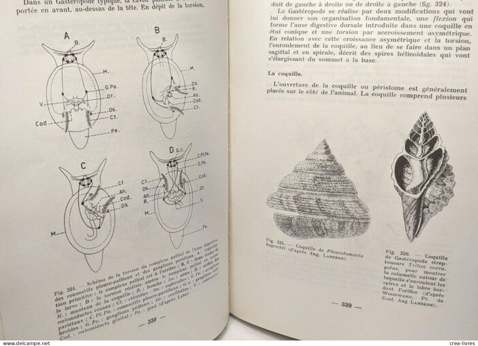 Les coelomates hyponeuriens - Éléments de zoologie et notions d'anatomie comparée vol. II