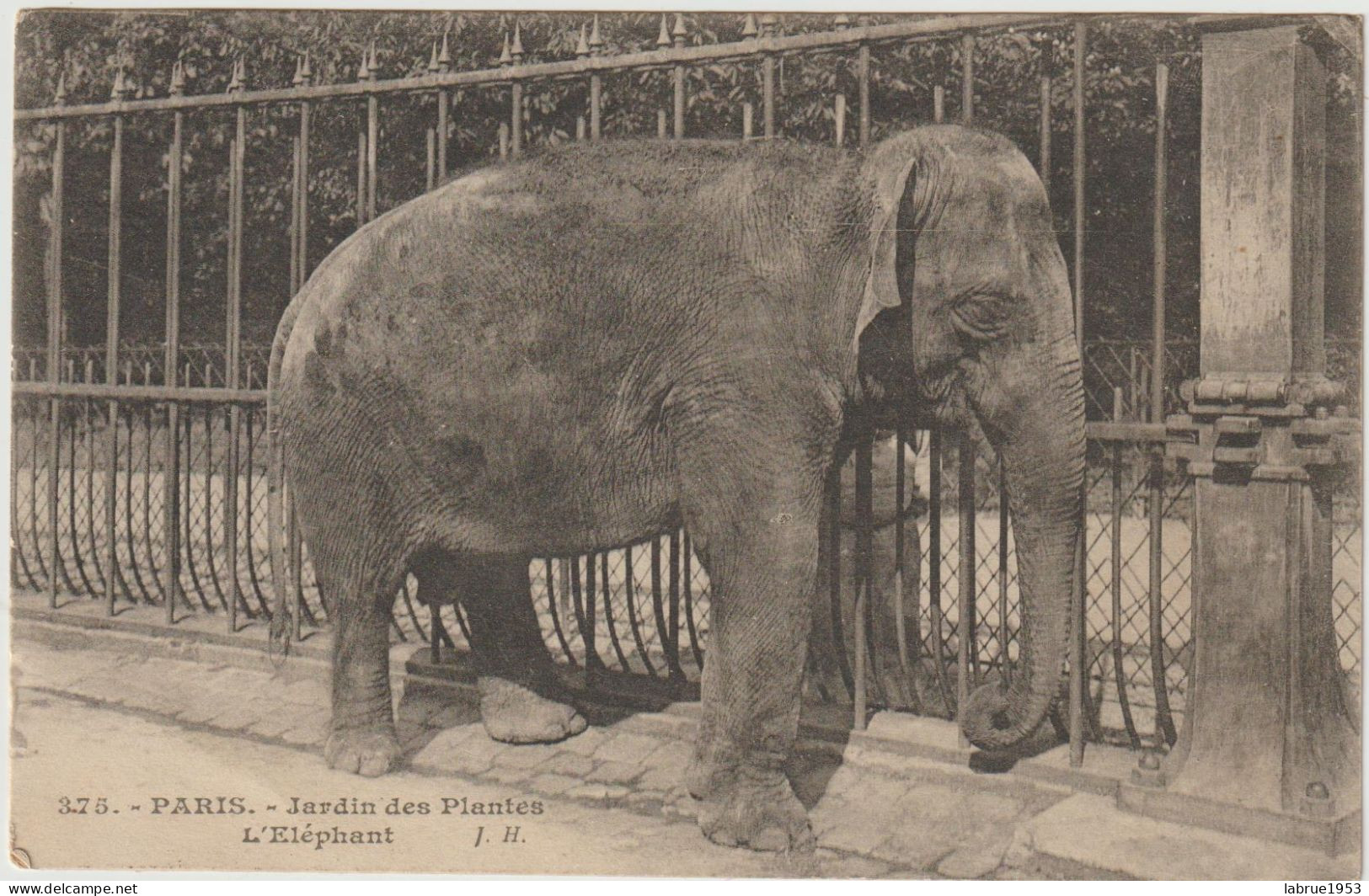 Paris - Jardin Des Plantes  L'Eléphant - (G.2084) - Olifanten