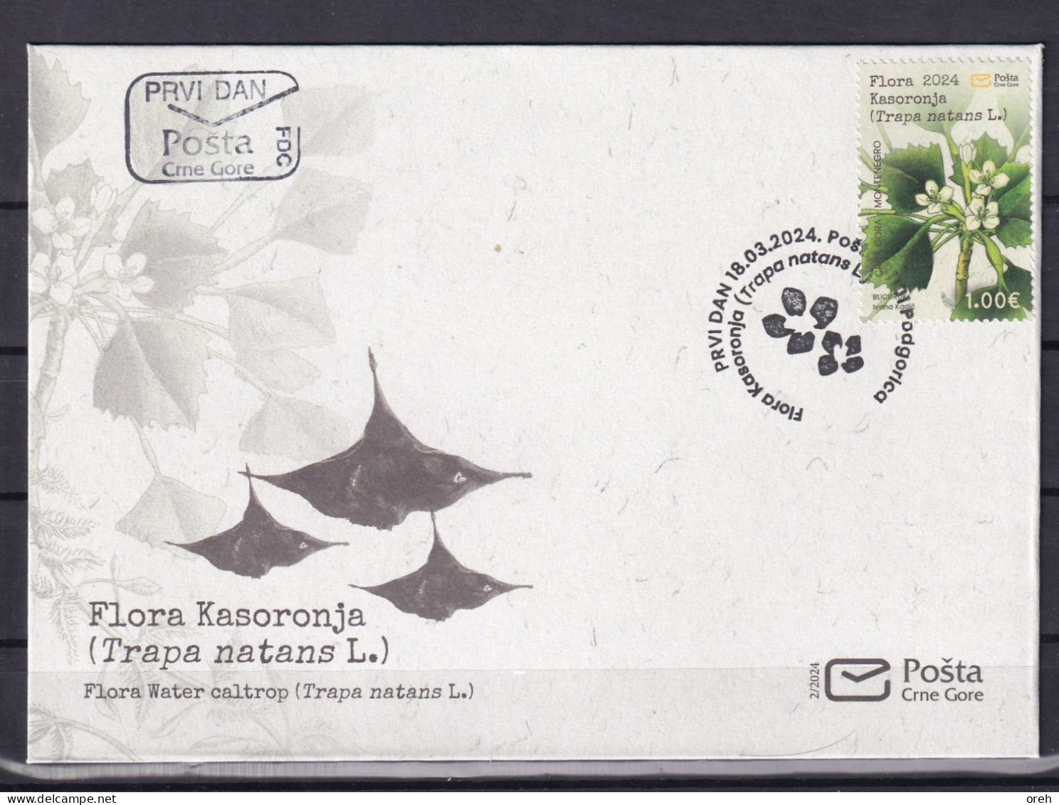 MONTENEGRO 2024,FLORA,,PLANTS,KASORONJA,TRAPA NANTES,FDC - Montenegro