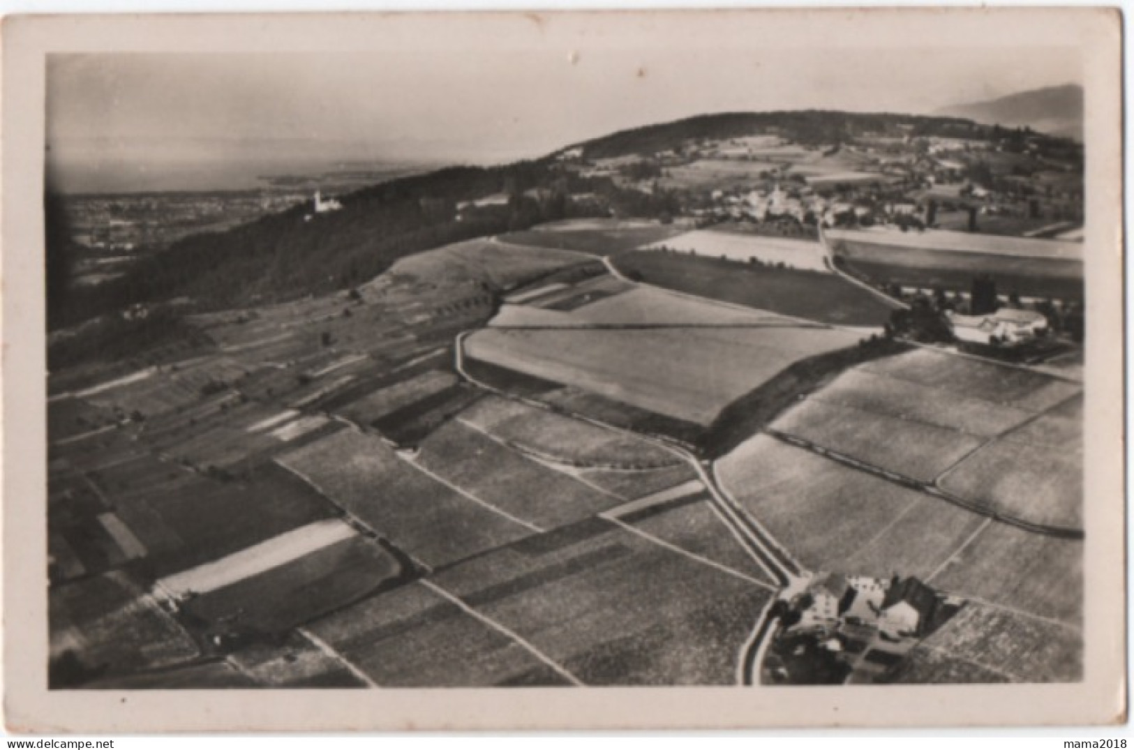 Ballaison   Vignoble Du Crépy  Carte Photo - Autres & Non Classés