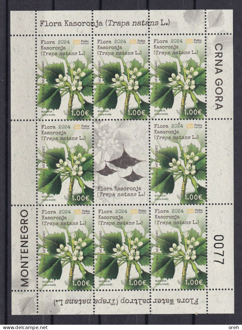 MONTENEGRO 2024,FLORA,PLANTS,KASORONJA,TRAPA NANTES,SHEET,MNH - Montenegro