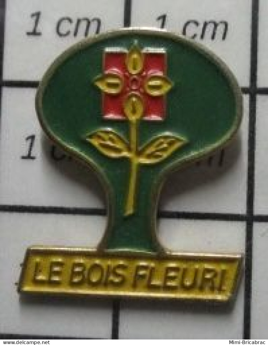 2020  Pin's Pins / Beau Et Rare / MARQUES / LE BOIS FLEURI - Trademarks