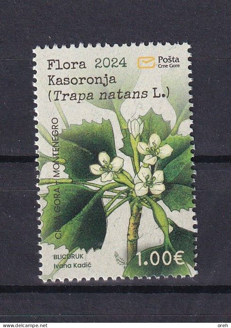 MONTENEGRO 2024,FLORA,PLANTS,KASORONJA,TRAPA NANTES,MNH - Montenegro