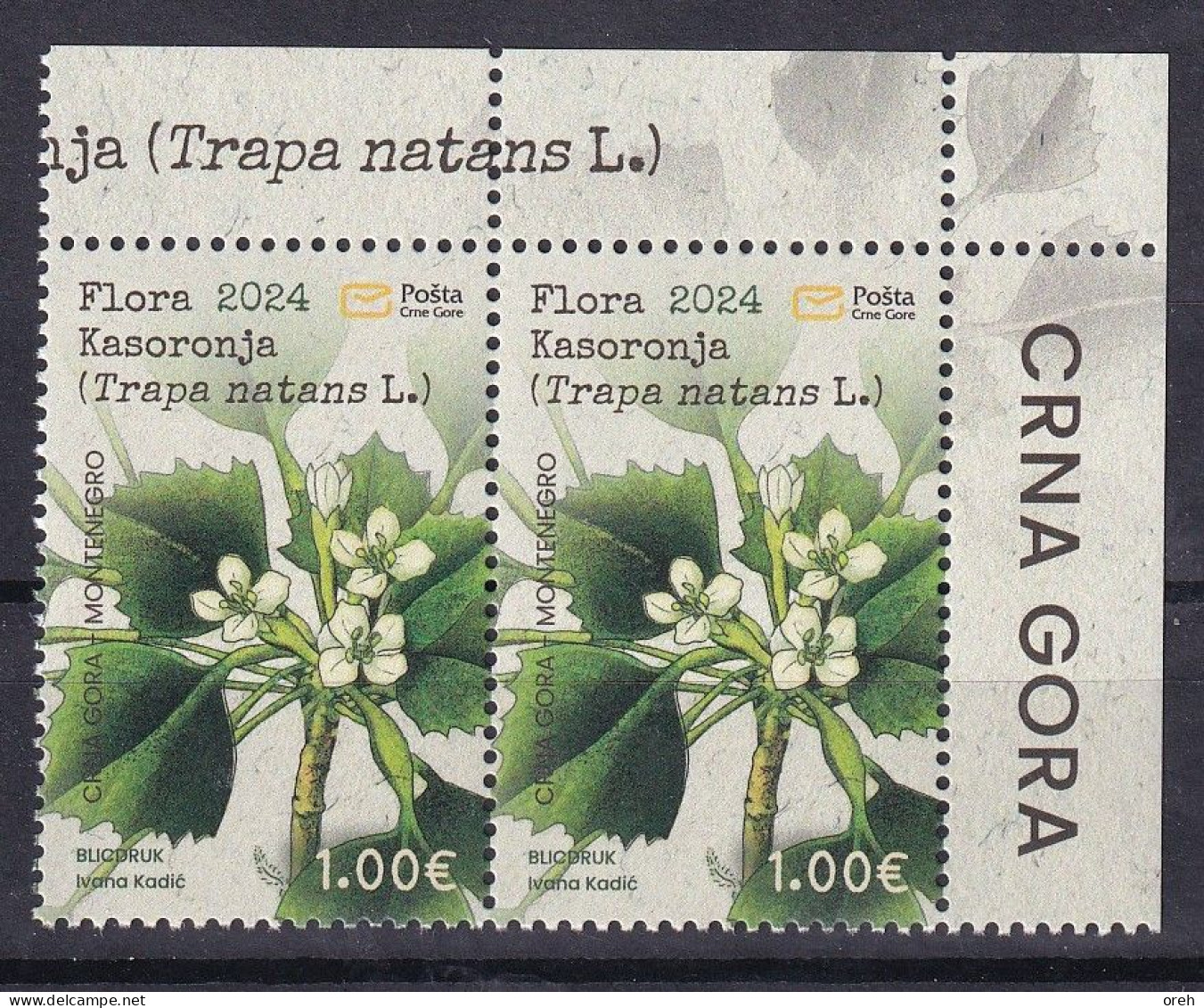 MONTENEGRO 2024,FLORA,PLANTS,KASORONJA,TRAPA NANTES,MNH - Other & Unclassified