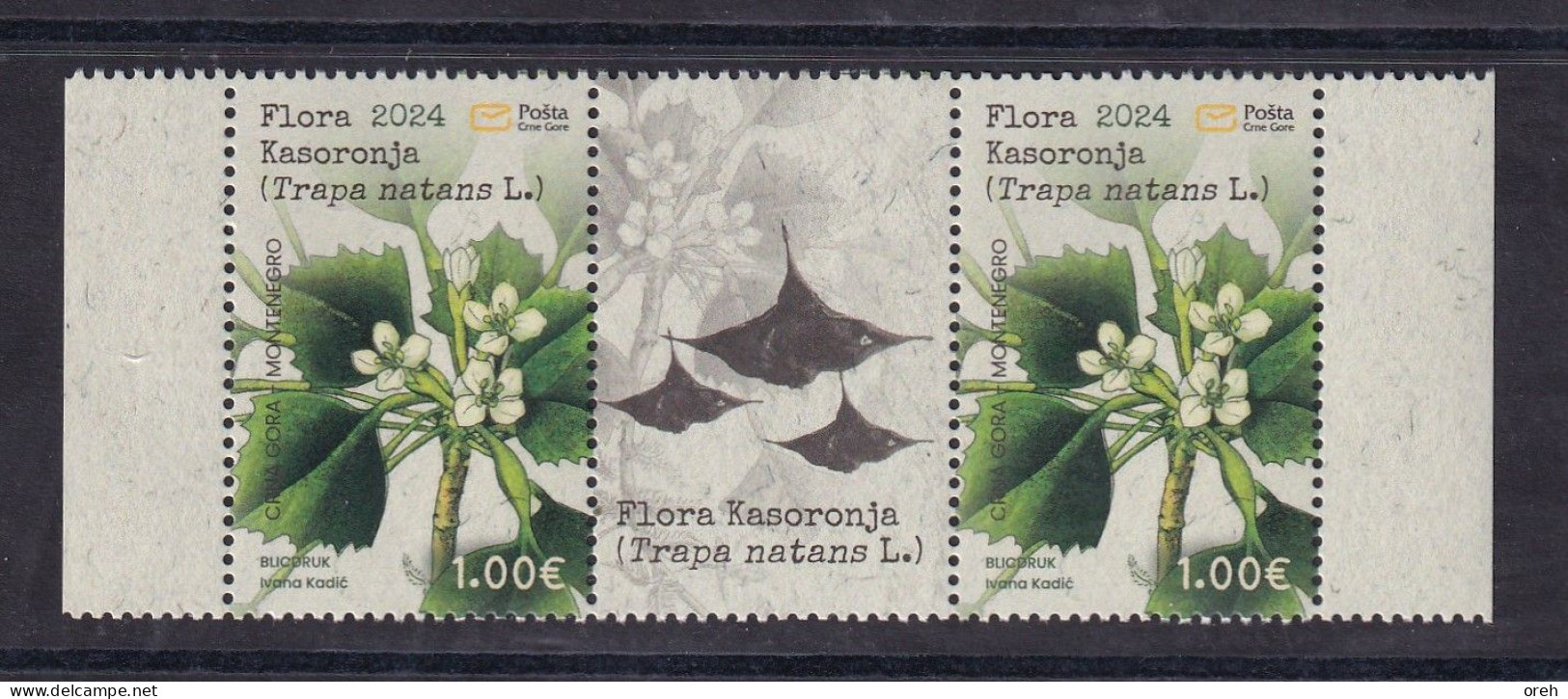 MONTENEGRO 2024,FLORA,PLANTS,KASORONJA,TRAPA NANTES,RELICT,WIGNETTE,MNH - Montenegro