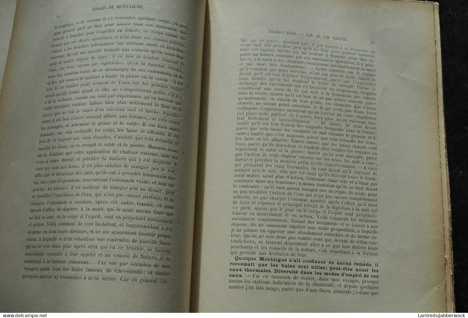 Essais de Montaigne (Self-édition) Texte original accompagné de la traduction en langage de nos jours Général Michaud