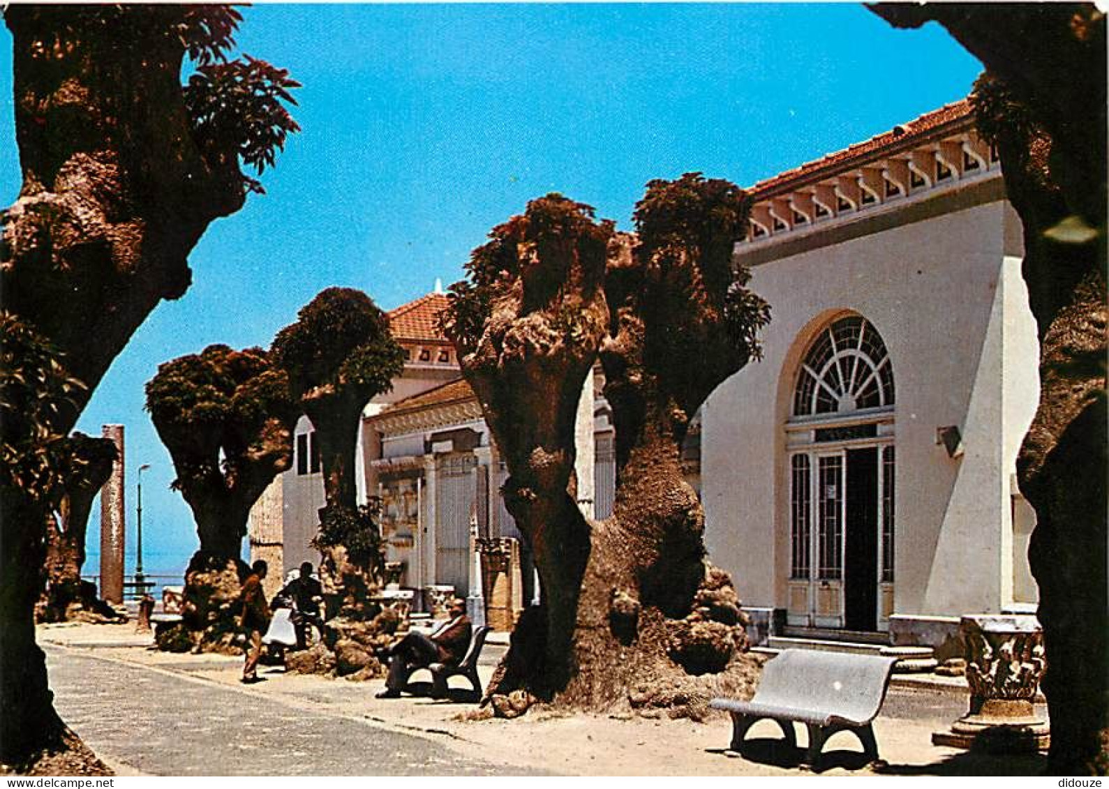 Algérie - Cherchell - Le Musée - CPM - Carte Neuve - Voir Scans Recto-Verso - Sonstige & Ohne Zuordnung