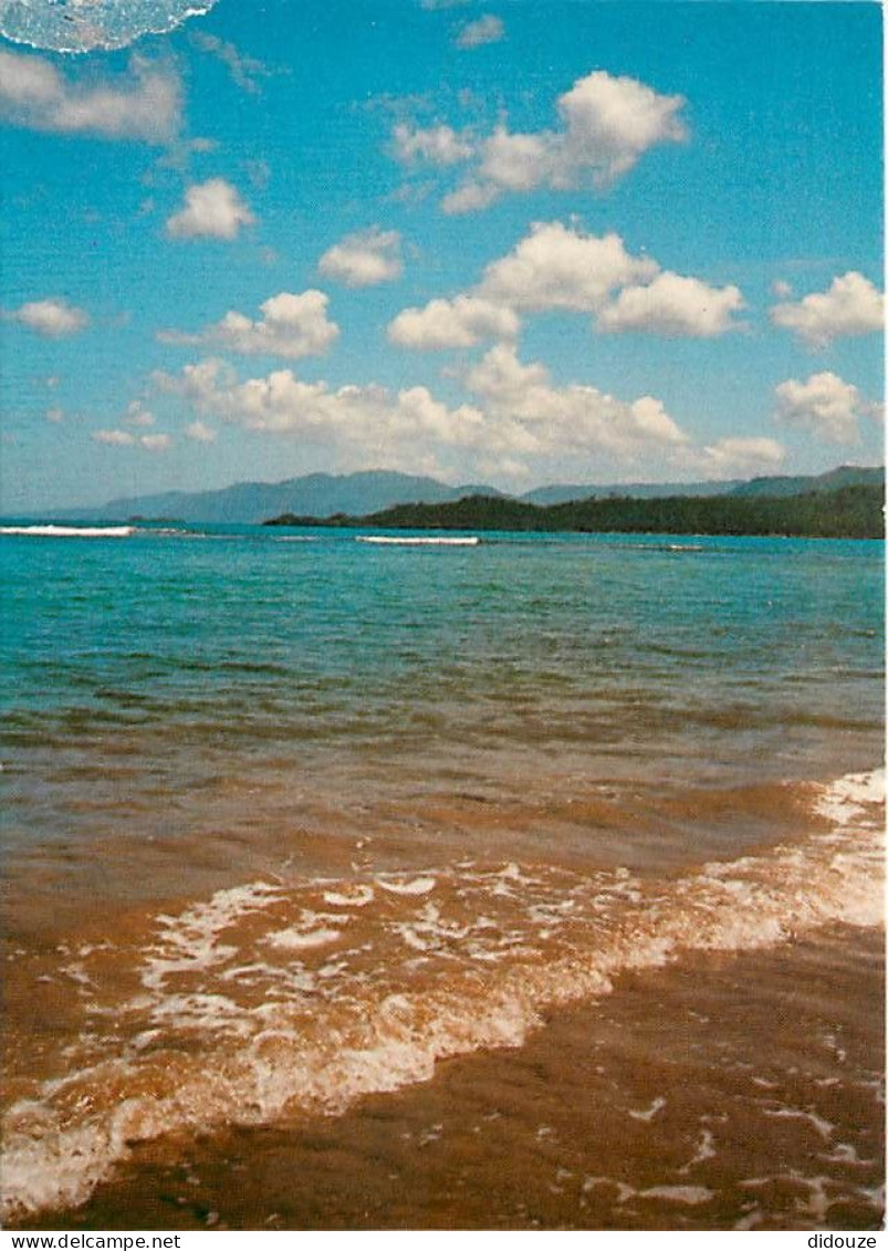 République Dominicaine - Republica Dominicana - Playa De Limon - Prov Samana - Isla De Santo Domingo - CPM - Voir Scans  - Dominicaanse Republiek
