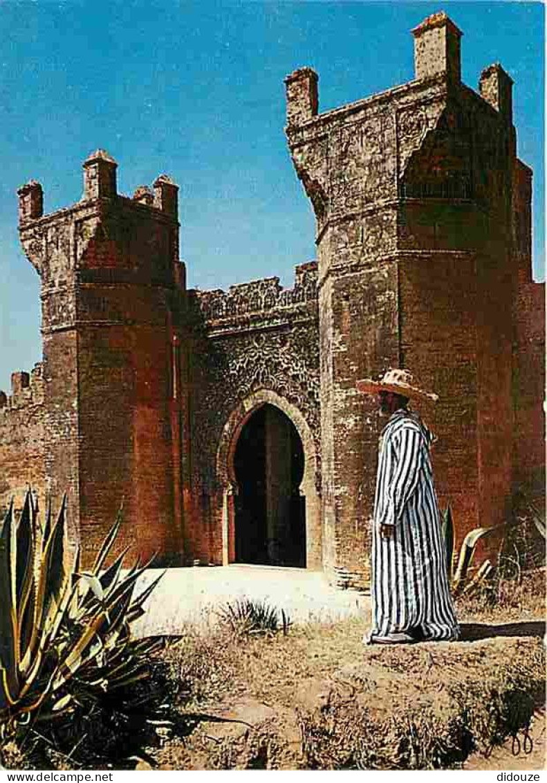 Maroc - Rabat - Le Chellah - CPM - Voir Scans Recto-Verso - Rabat