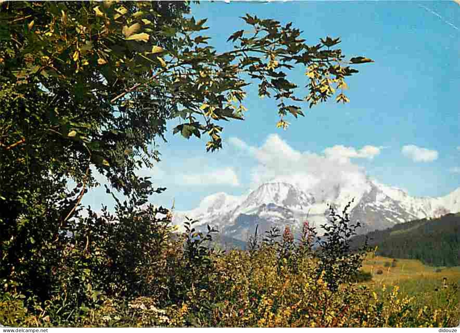 74 - Cordon - Le Mont Blanc - CPM - Voir Scans Recto-Verso - Autres & Non Classés