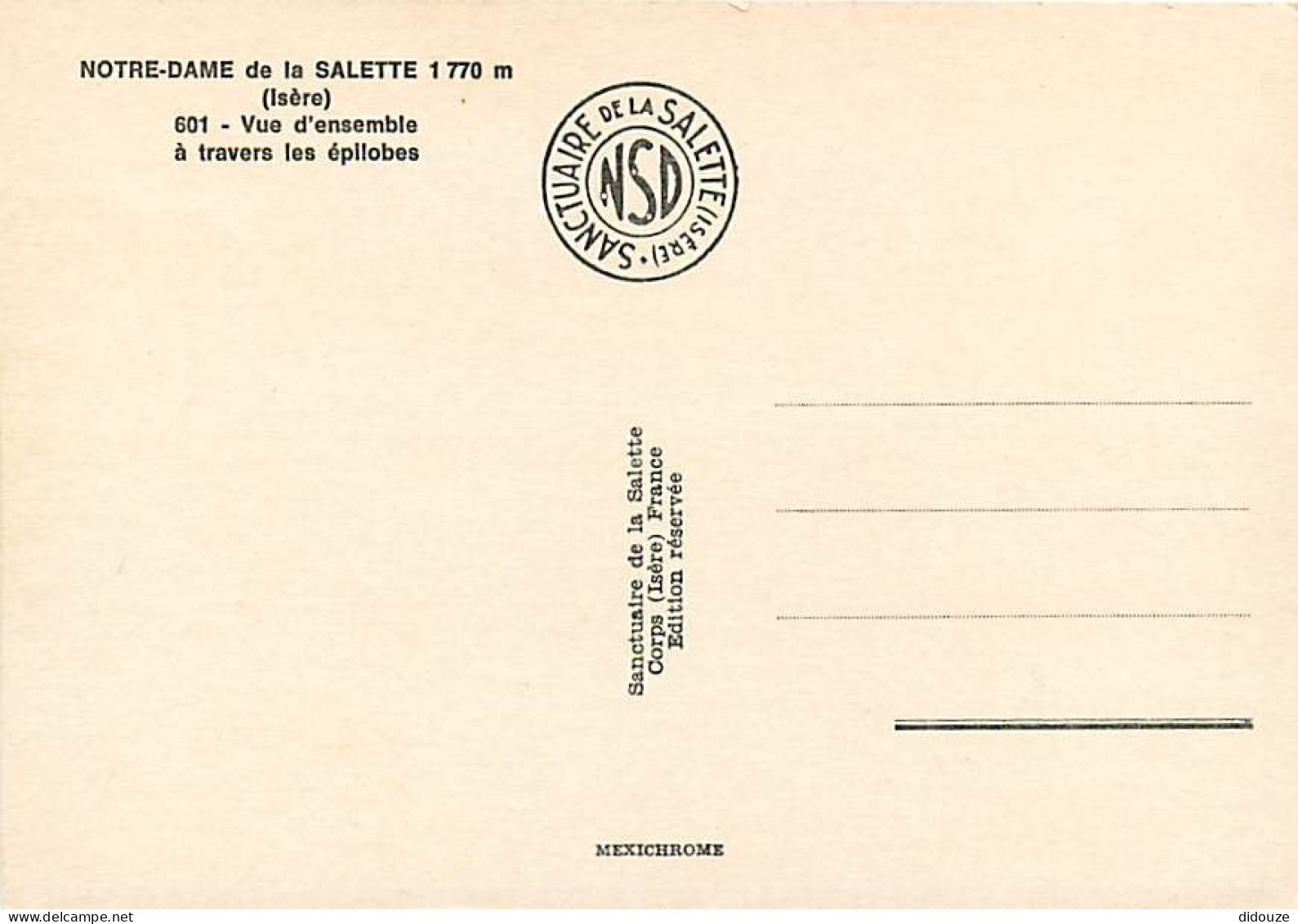 38 - La Salette - Sanctuaire Notre Dame De La Salette - Vue D'ensemble à Travers Les épllobes - Carte Neuve - Lieu De Pè - La Salette