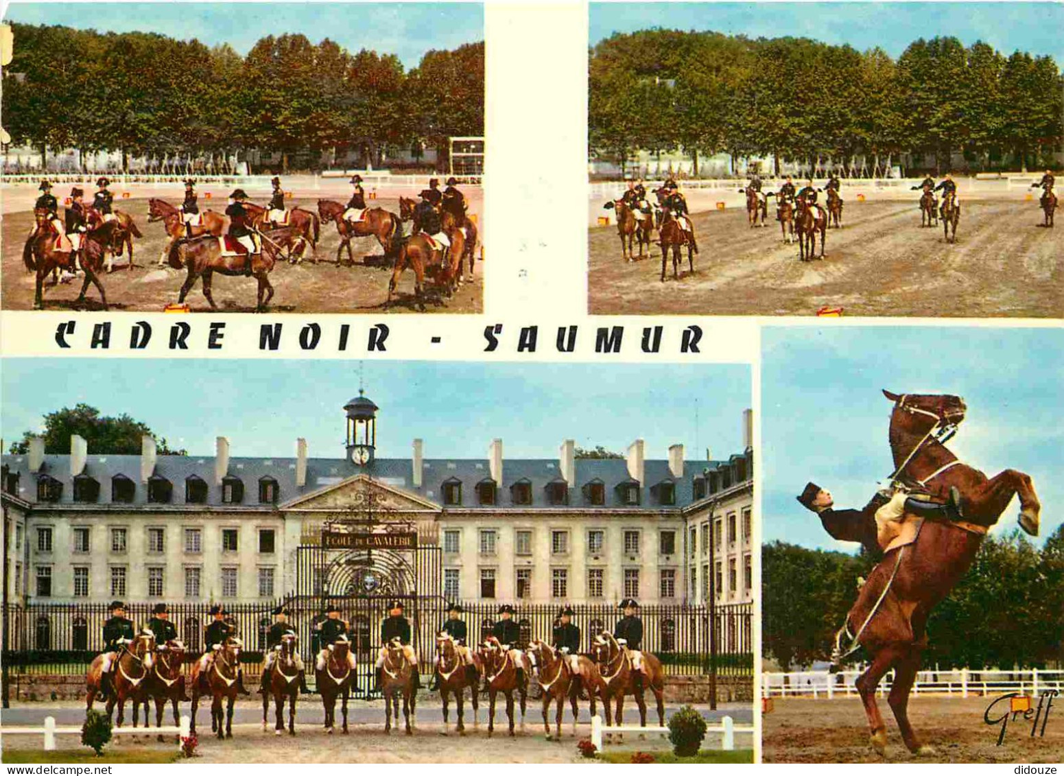 Animaux - Chevaux - Saumur - Ecole Nationale D'Equitation Le Cadre Noire - Multivues - Horses - Pferde - CPM - Carte Neu - Horses