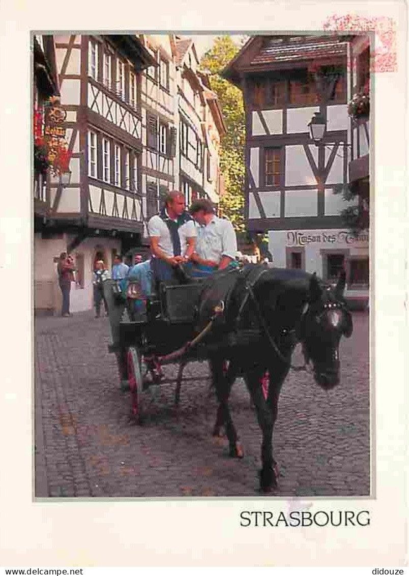 Animaux - Chevaux - Strasbourg - Promenade En Calèche Rue Du Bain Aux Plantes - Quartier De La Petite France - Carte Neu - Chevaux