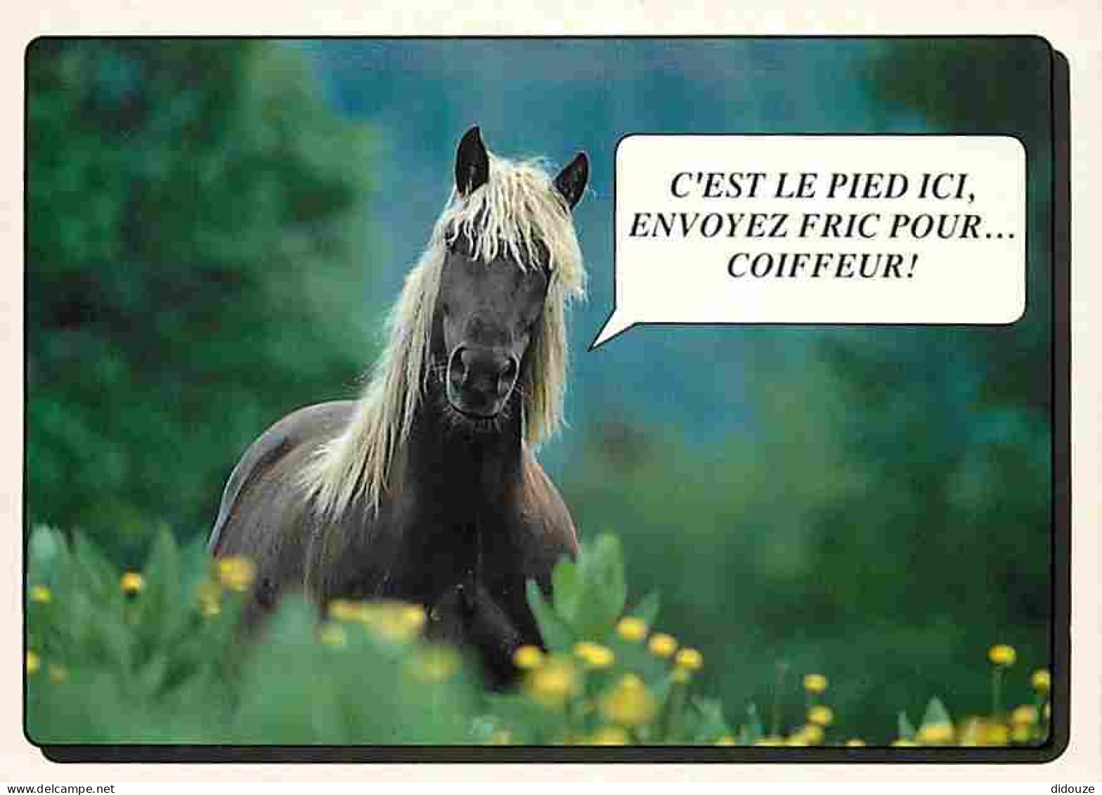 Animaux - Chevaux - Chevaux En Pature - Carte Humoristique - Carte Neuve - CPM - Voir Scans Recto-Verso - Horses