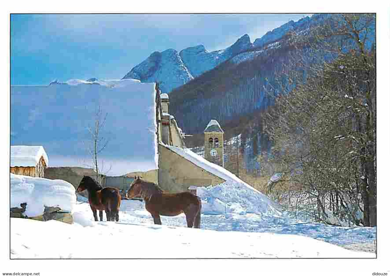 Animaux - Chevaux - Les Alpes Enneigées - CPM - Voir Scans Recto-Verso - Horses