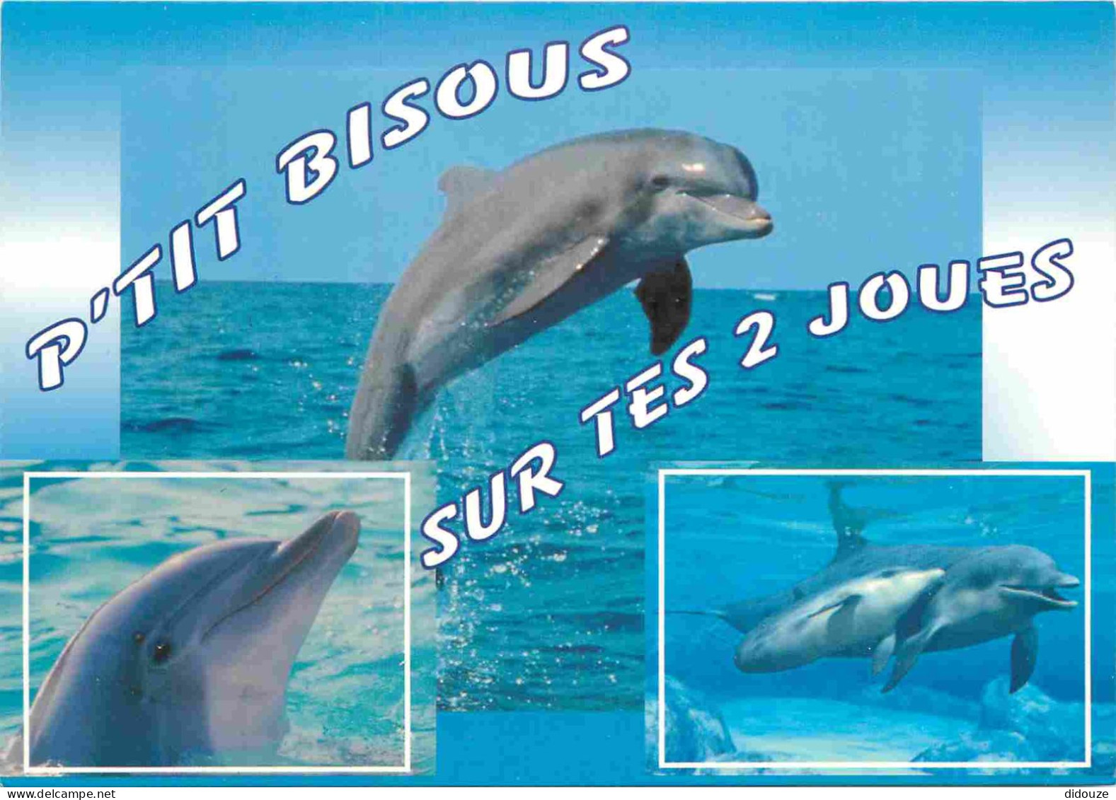 Animaux - Dauphin - Dolphin - Carte à Message - CPM - Carte Neuve - Voir Scans Recto-Verso - Delphine