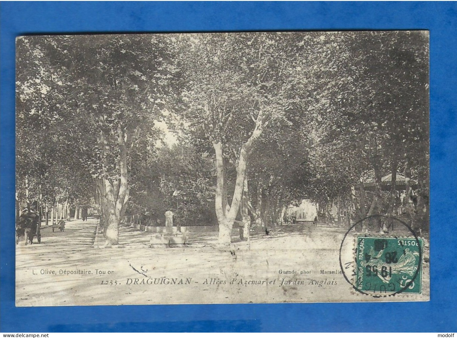 CPA - 83 - Draguignan - Allée D'Azemar Et Jardin Anglais - Circulée En 1908 - Draguignan