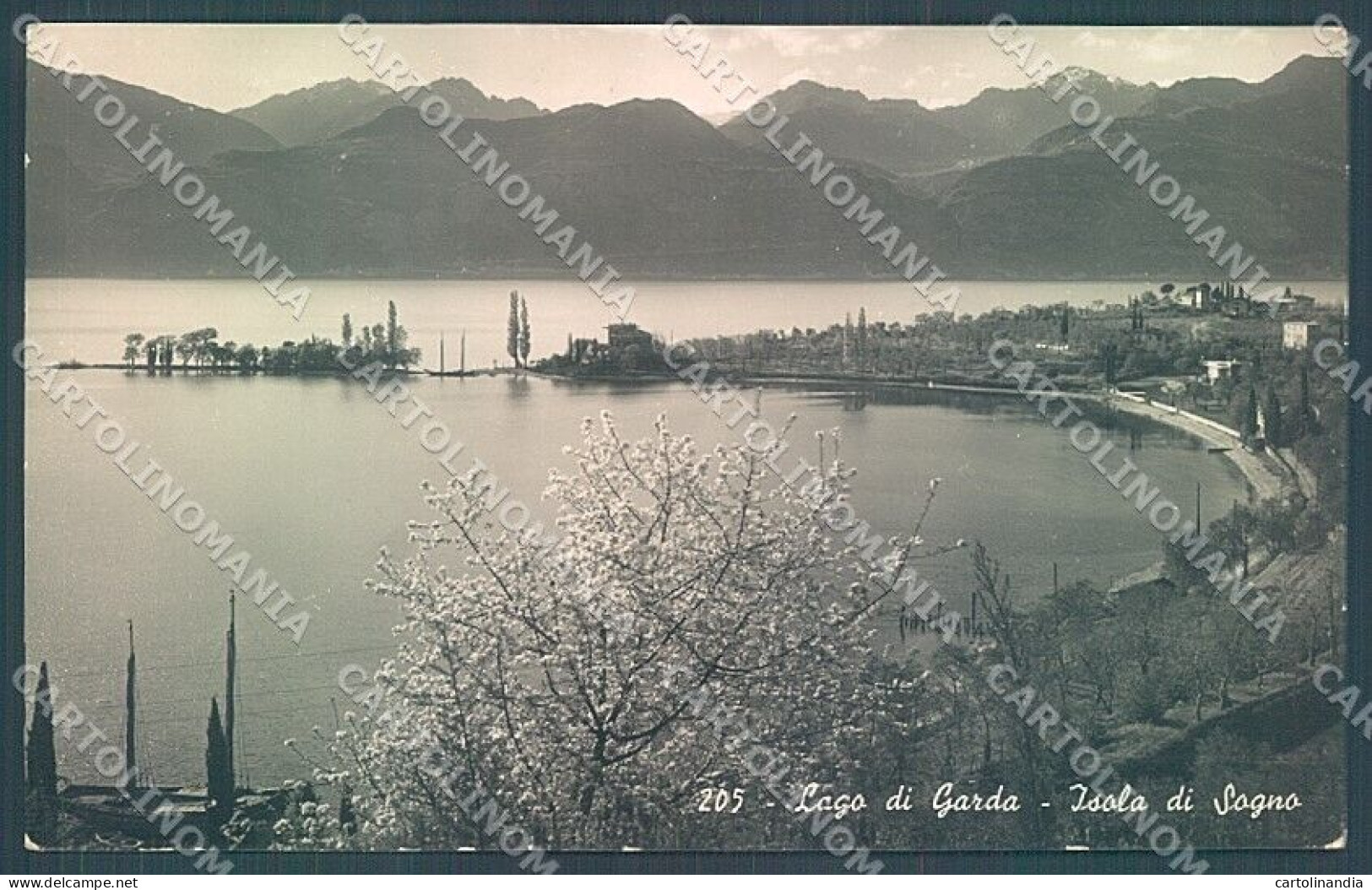 Brescia Lago Garda Isola Di Sogno Foto Cartolina JK2815 - Brescia